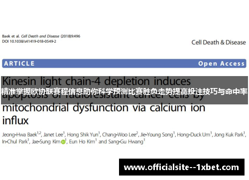 精准掌握欧协联赛程信息助你科学预测比赛胜负走势提高投注技巧与命中率