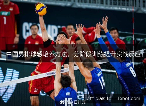 中国男排球感培养方法，分阶段训练提升实战反应